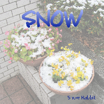 SNOW